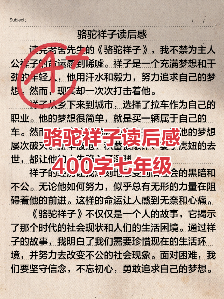 2025年9月19日 第12页
