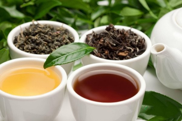 请问乌龙茶是红茶还是绿茶