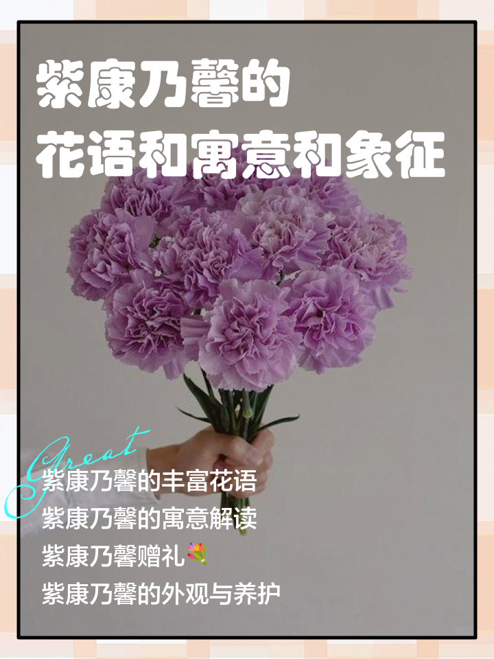 康乃馨的花语是什么象征了什么新闻