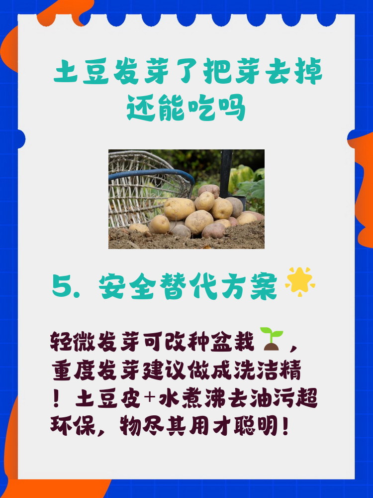 土豆发芽了如何处理土豆发芽了怎么处理