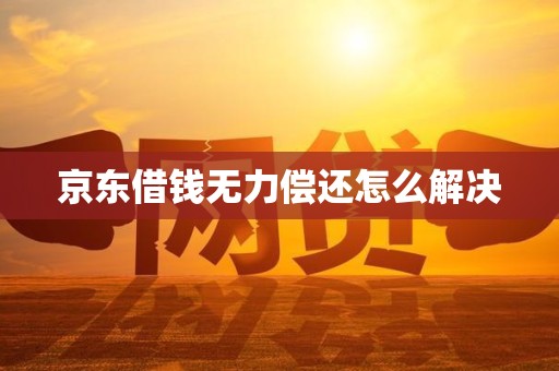 京东借钱马上金融来钱花怎么申请？