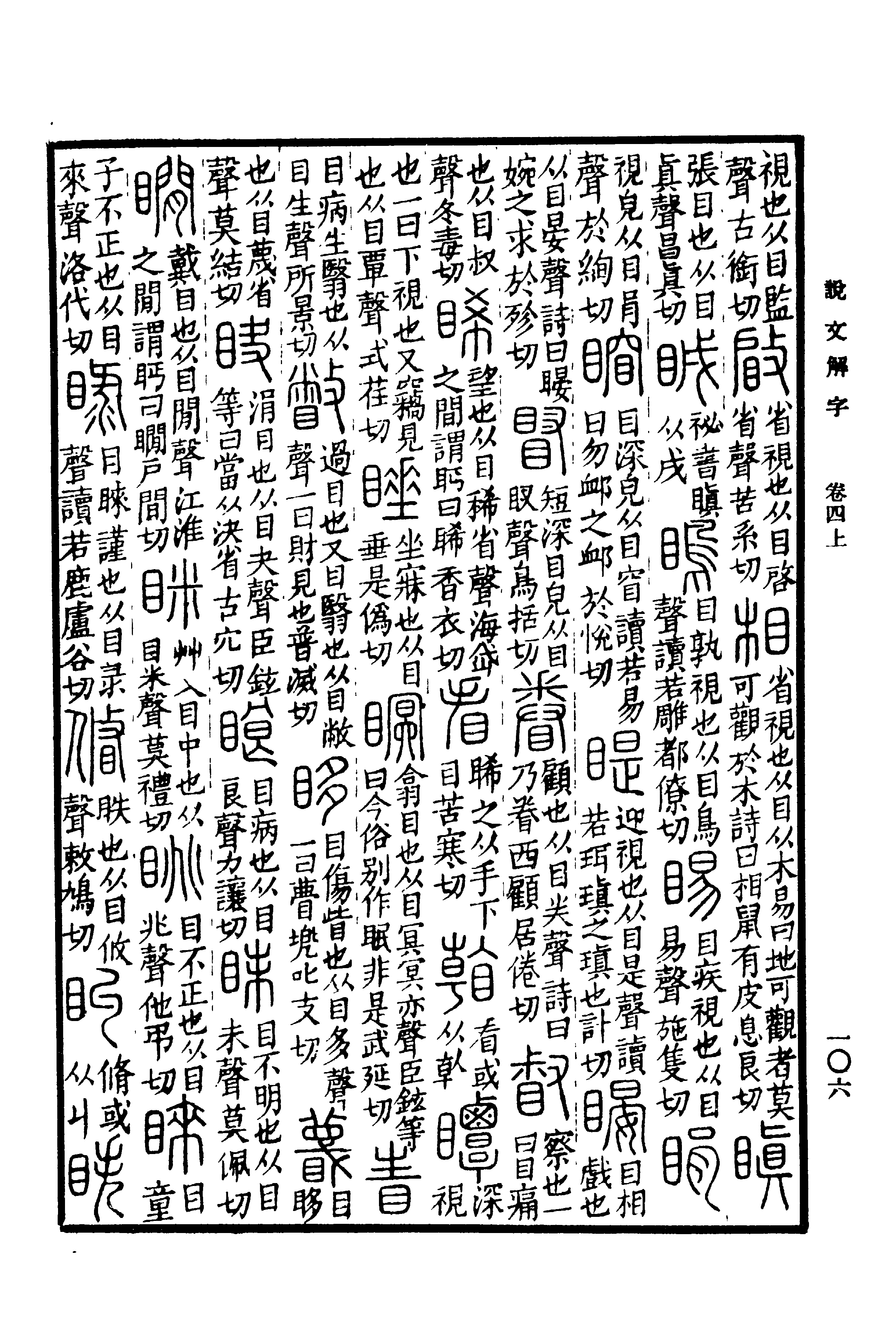 沈语蝶