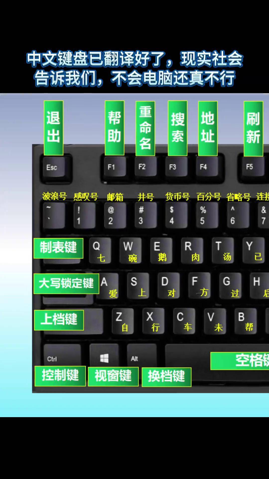 葛阳