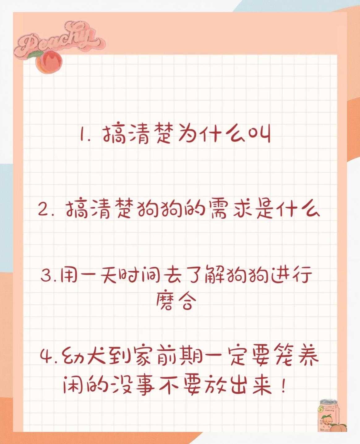 一犬吠形群犬吠声的意思