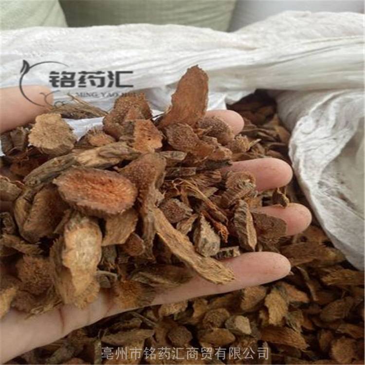 千年健的营养价值有哪些