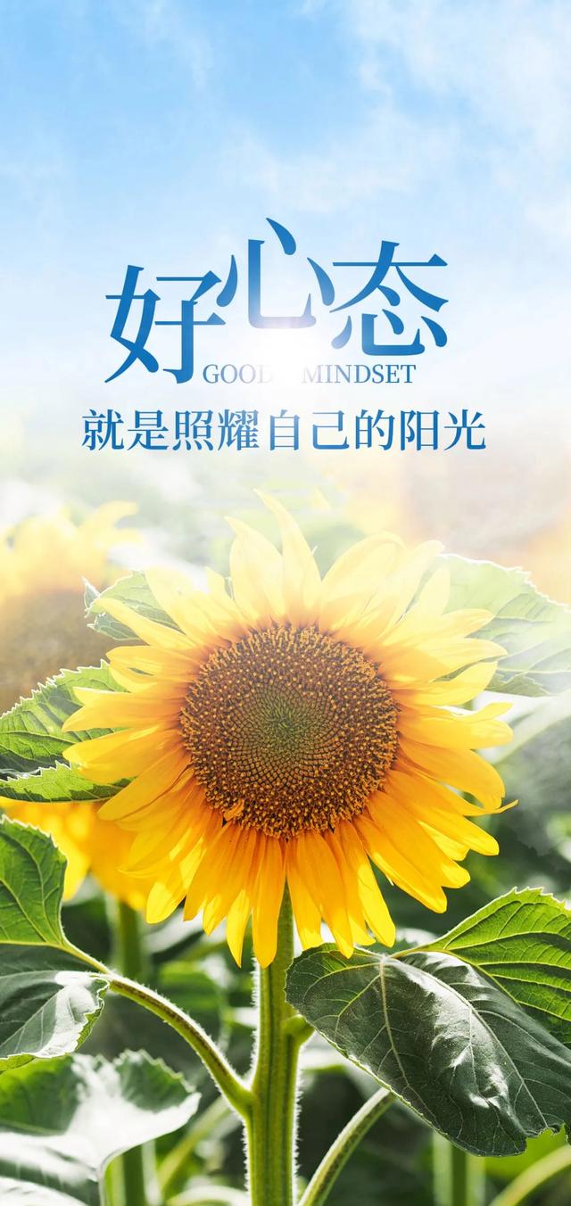 心态好的正能量句子有哪些