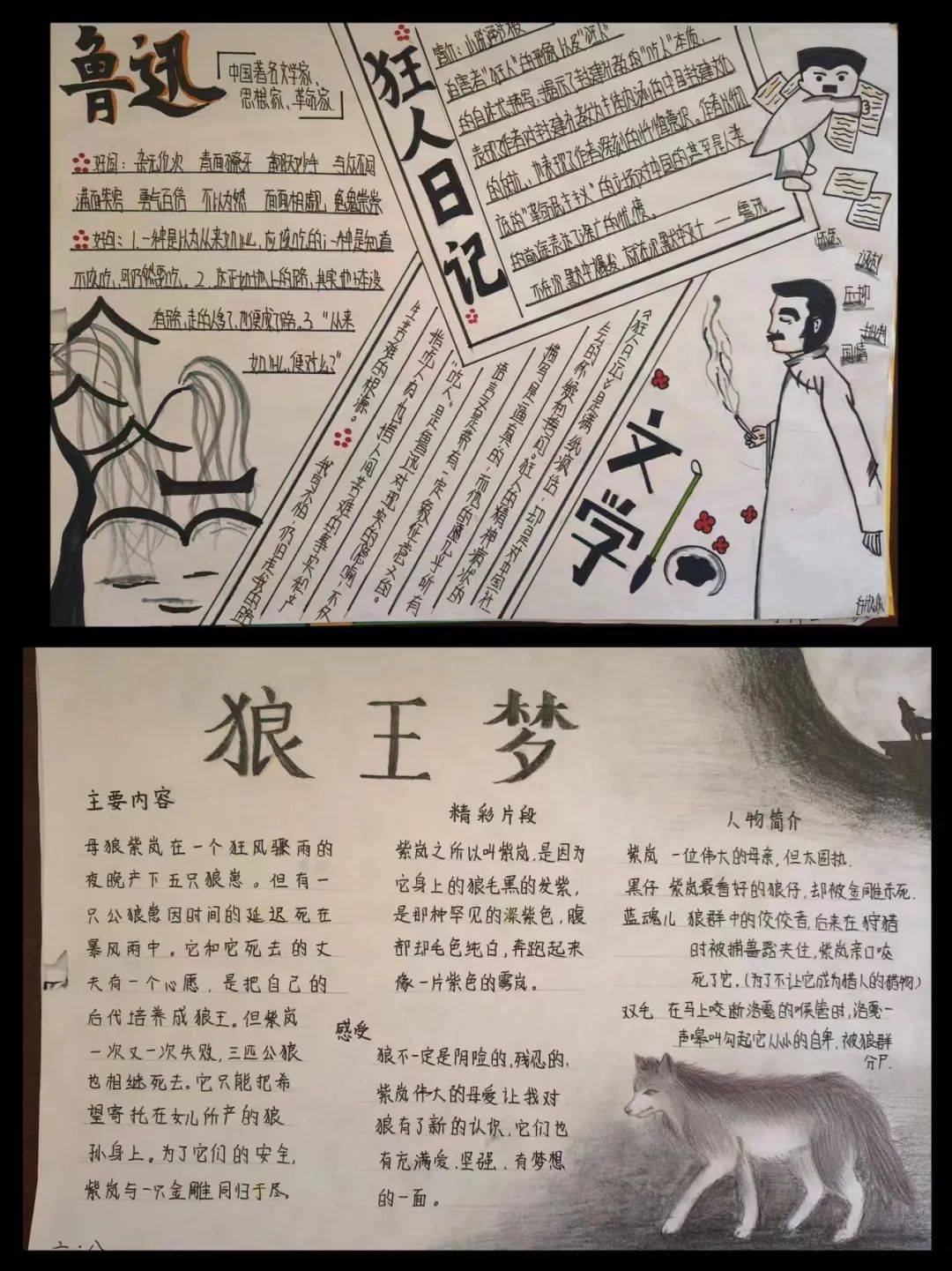 狼王梦好词好句有哪些