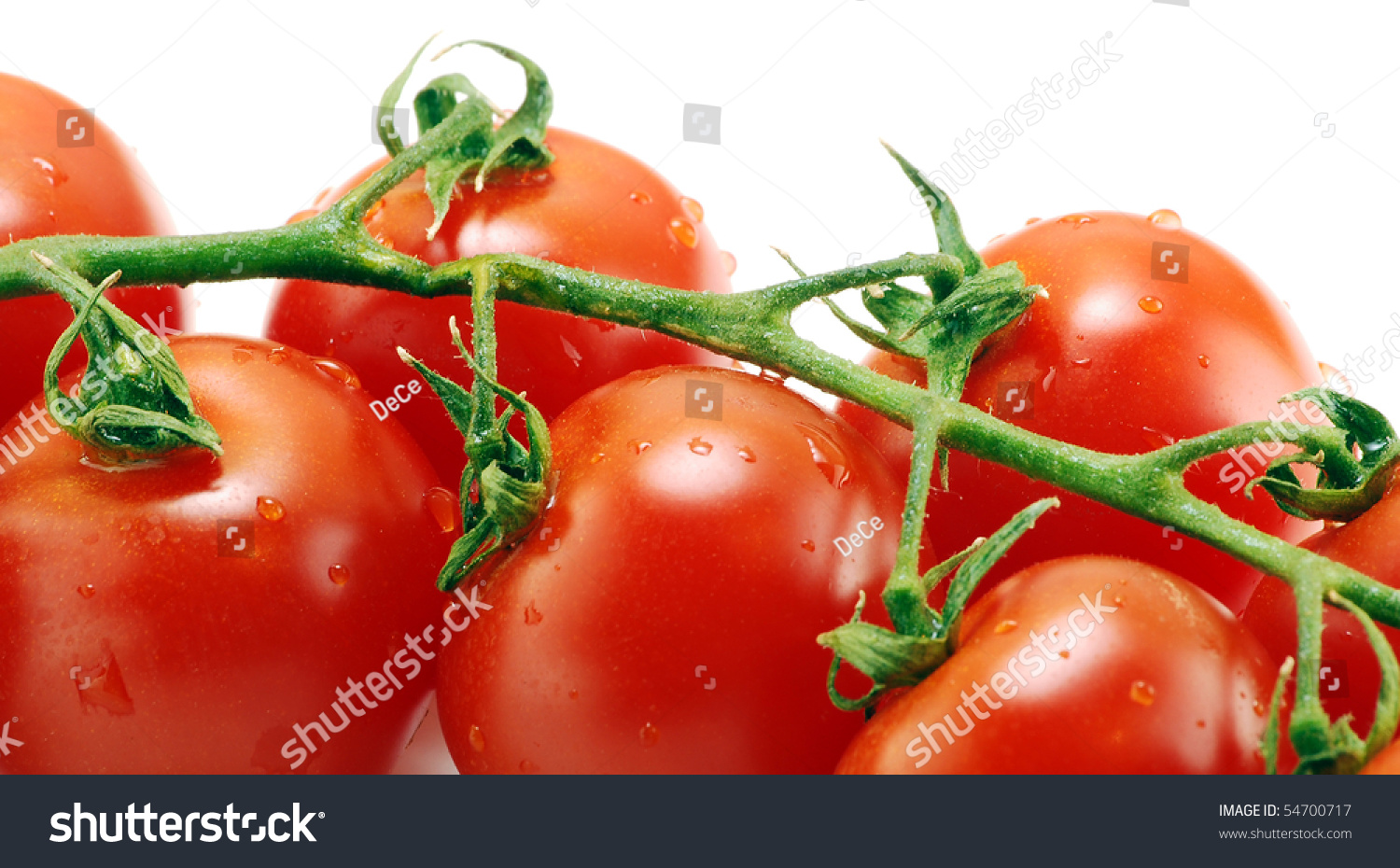 tomatoes是什么意思
