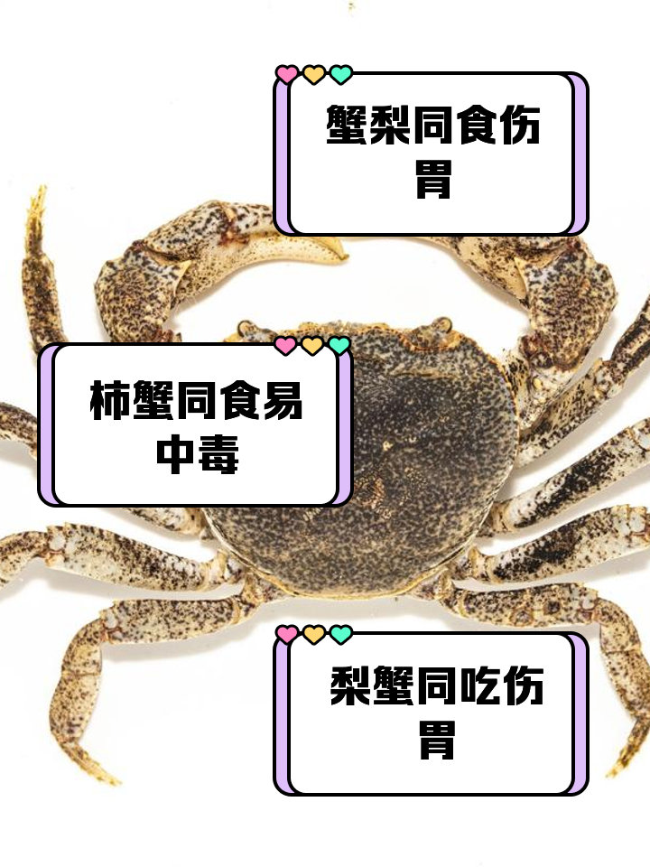 螃蟹死了之后为什么不能够吃