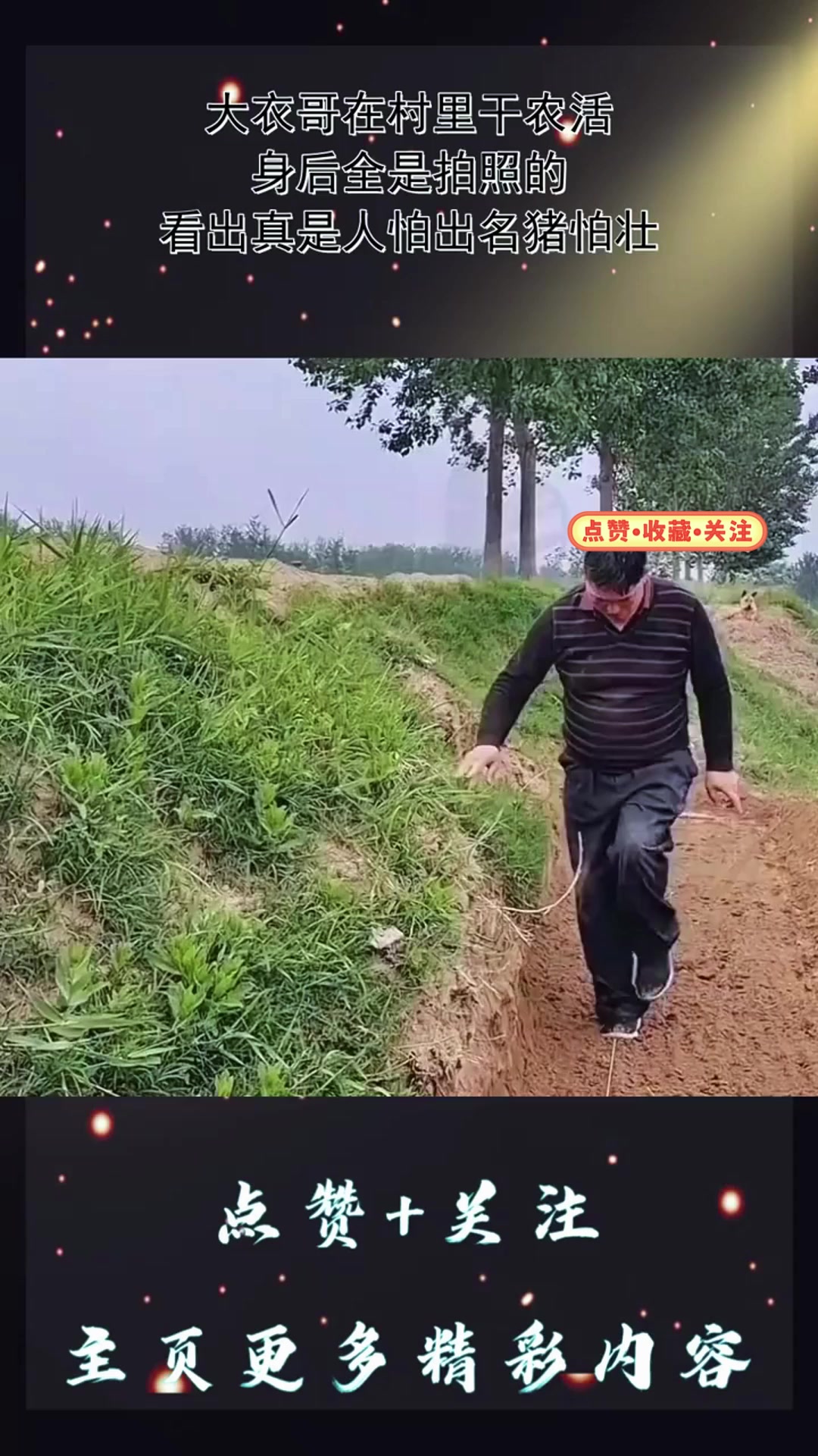 人怕出名猪怕壮是什么意思？