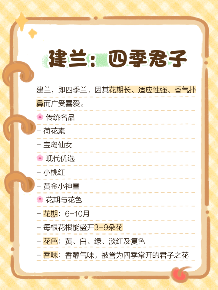 兰花有哪些品种兰花品种介绍