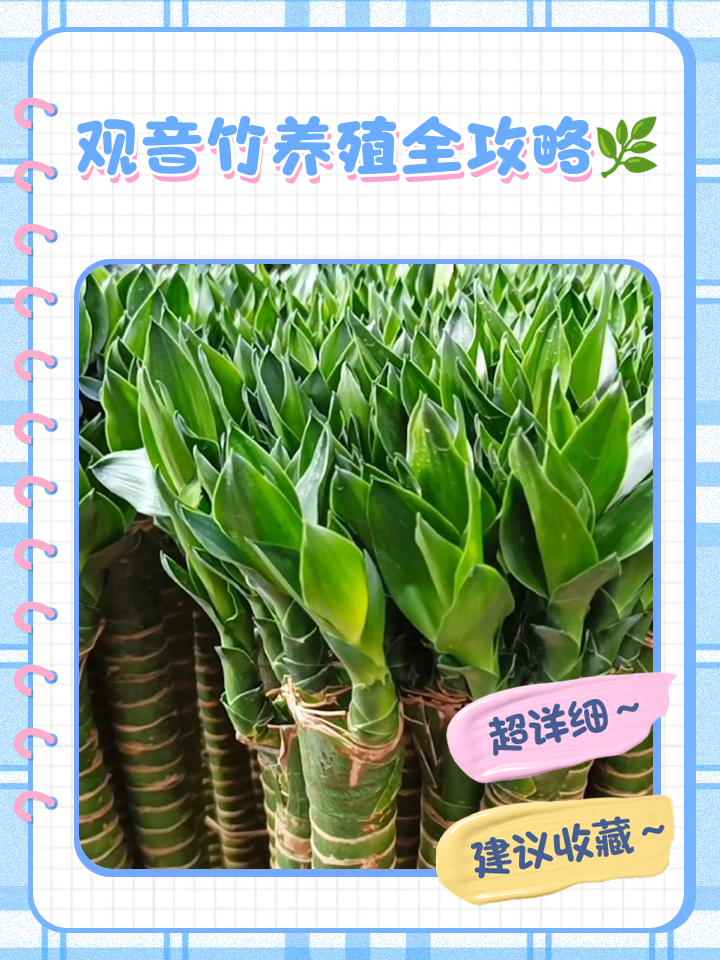 科技 第20页