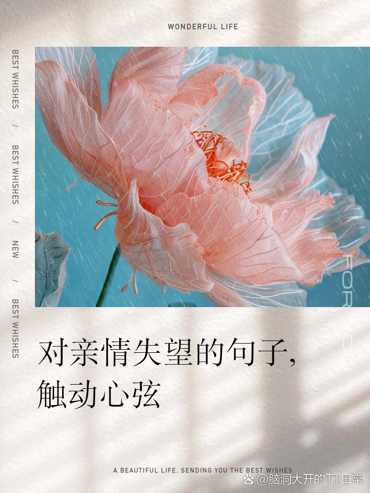 汝秋月
