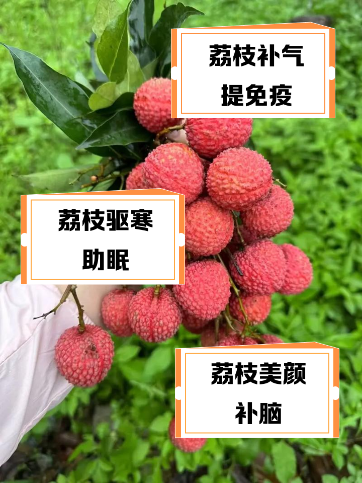 吃荔枝的好处和坏处是什么