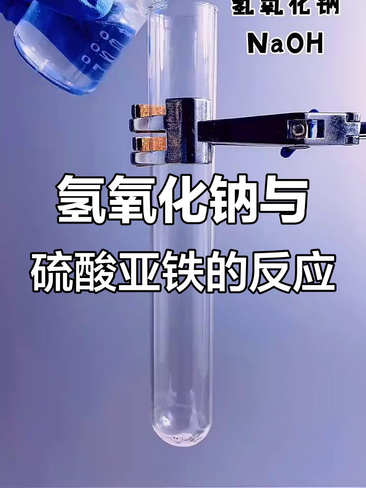 宗曼丽