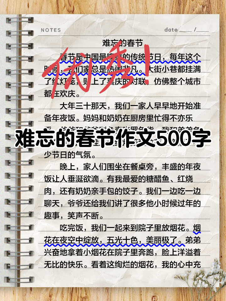 适合难忘的春节作文范文