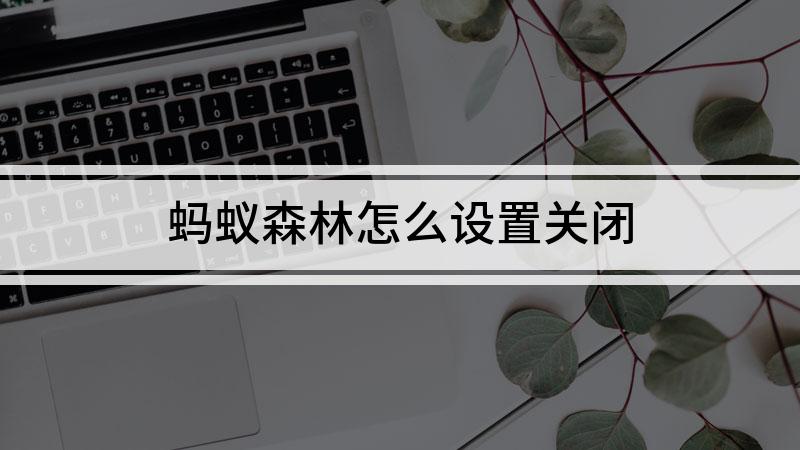 可以如何关闭蚂蚁森林功能