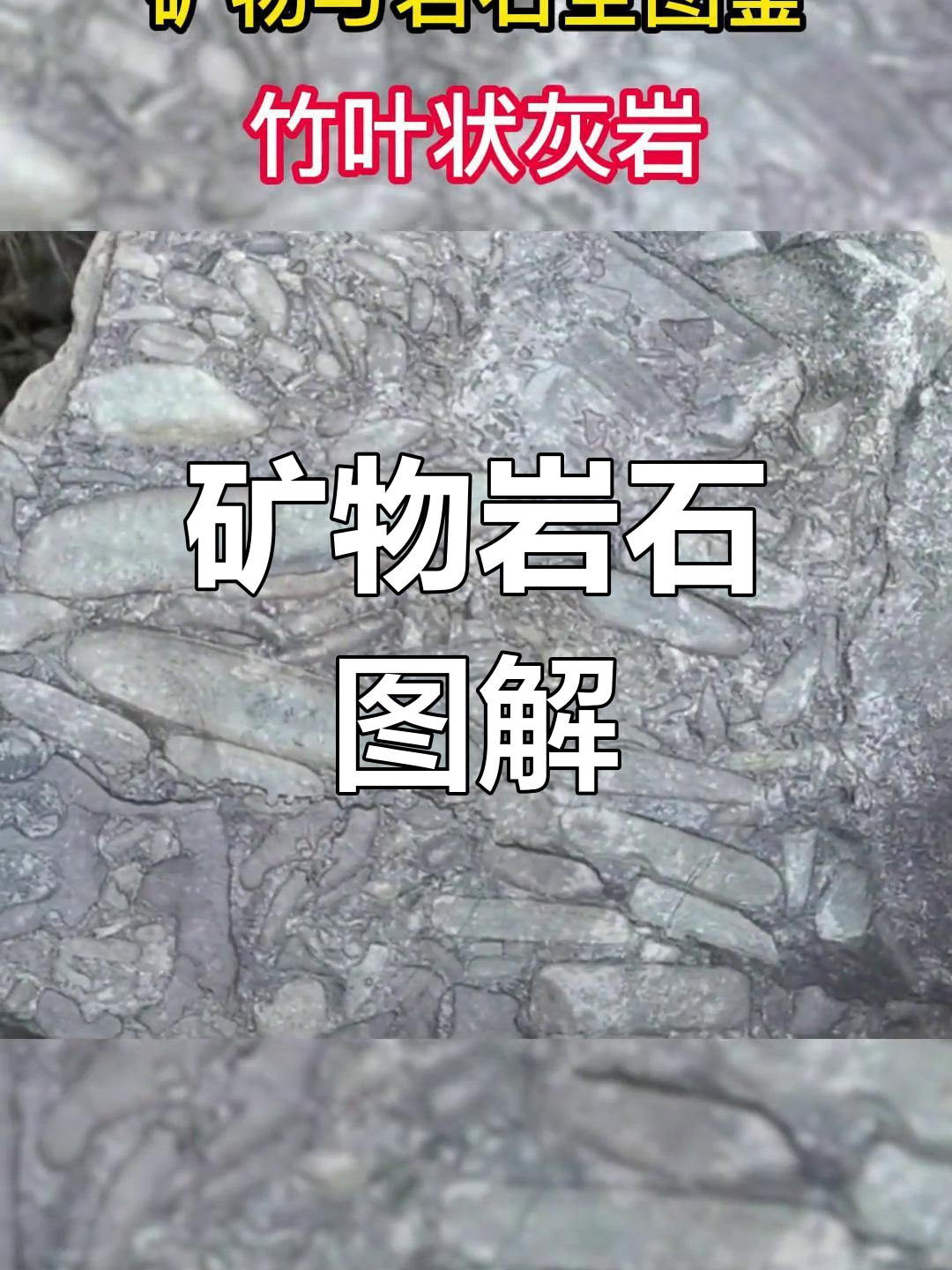 岩石在生活中有哪些用途
