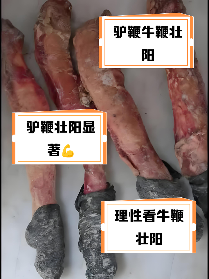 驴鞭汤的功效与作用有哪些