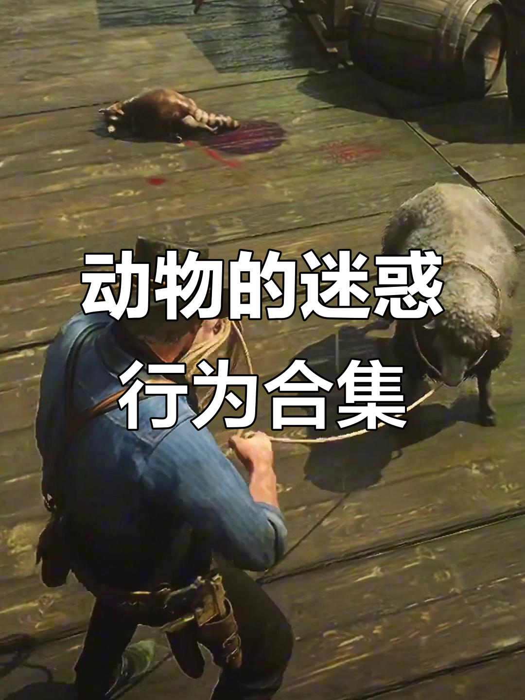 迷惑行为大赏是啥意思