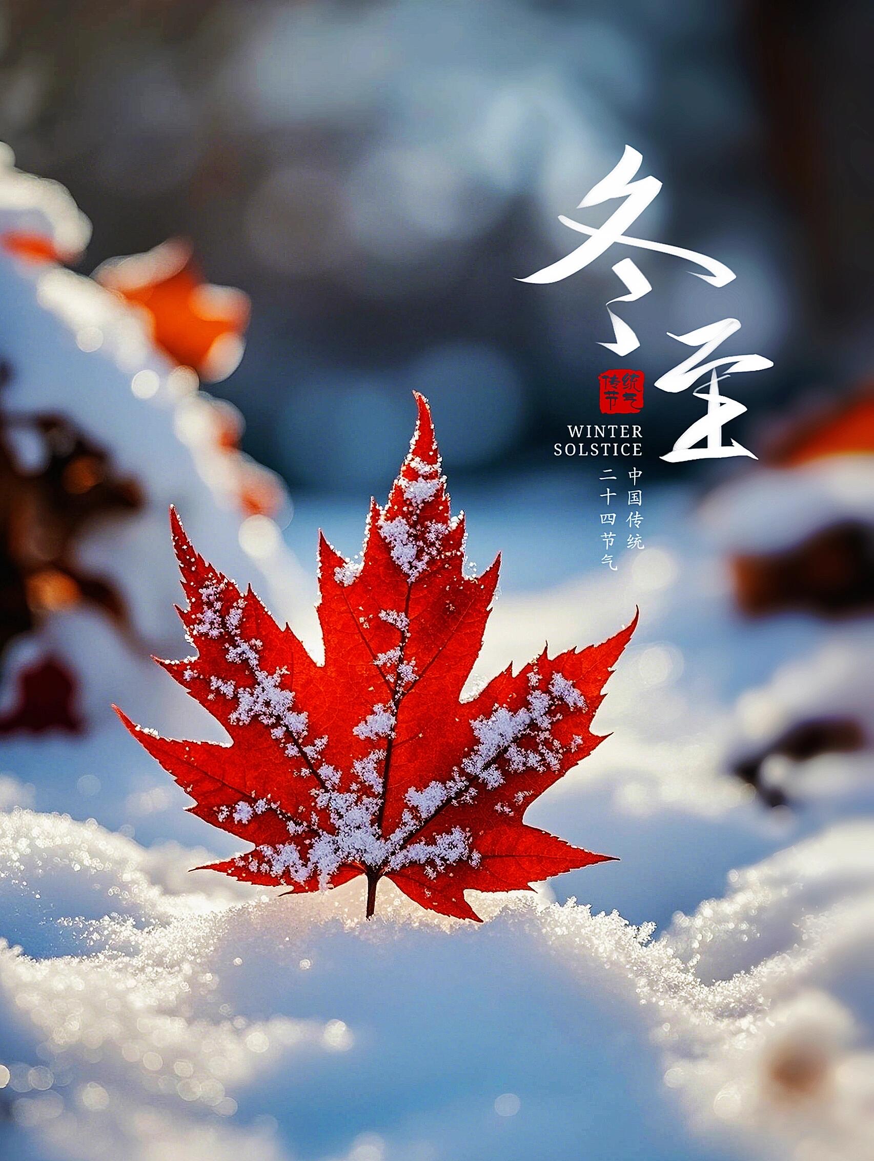 冬至吃饺子的寓意有什么