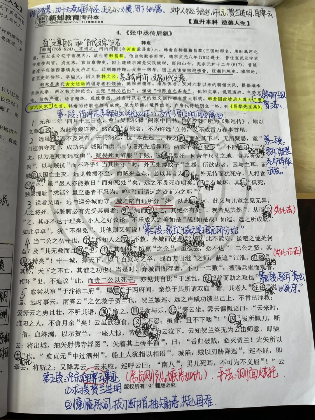 关于张中丞传后叙表达意思