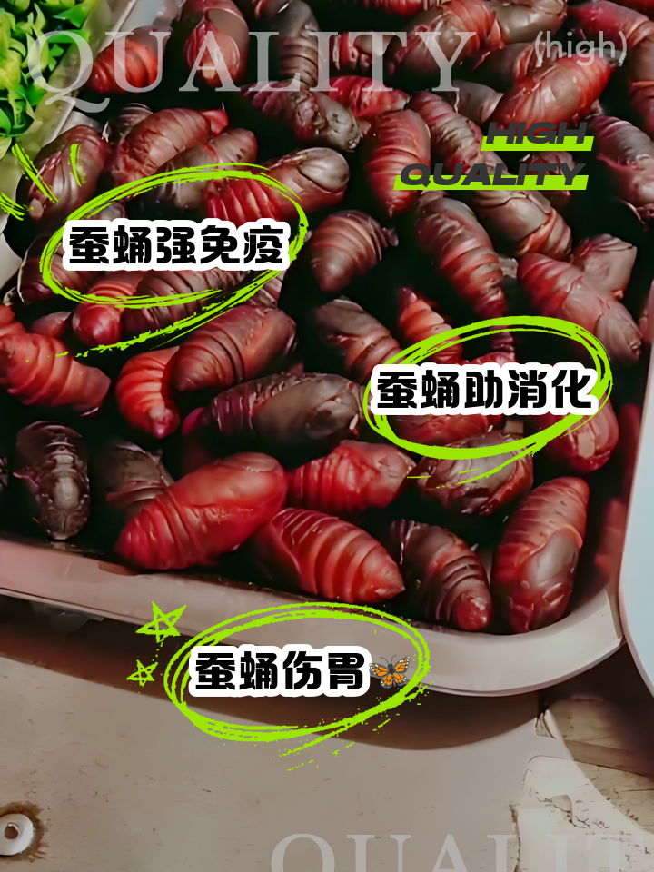 蚕蛹和什么不能吃在一起