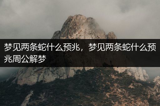 做梦梦到两条蛇是什么意思周公解梦
