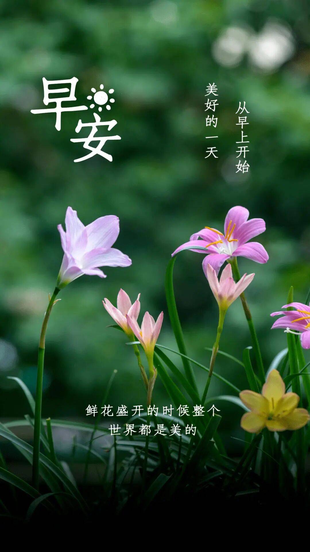 早晨励志语录正能量说说