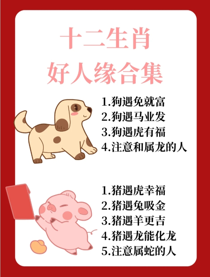 虎猴相冲定本期是什么生肖