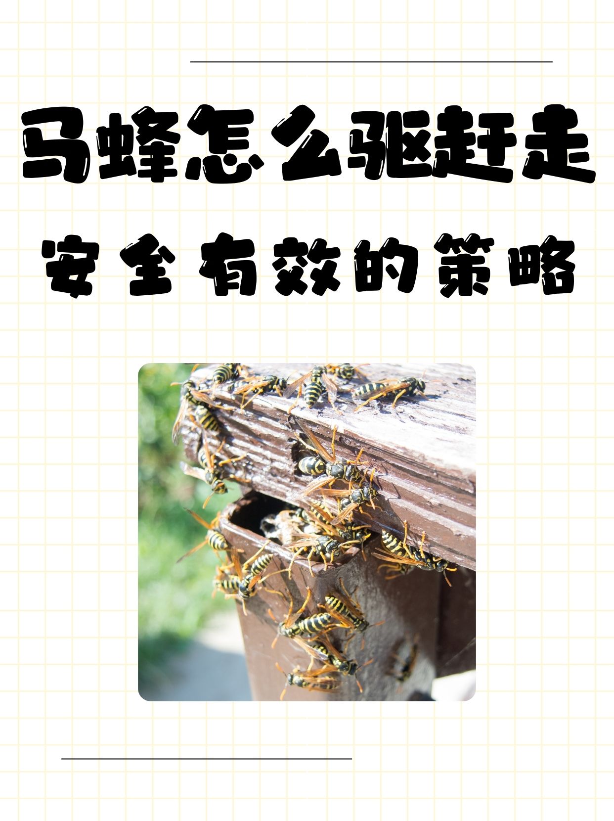 马蜂蛰后多久就安全了