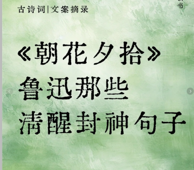 朝花夕拾好句好词摘抄有哪些