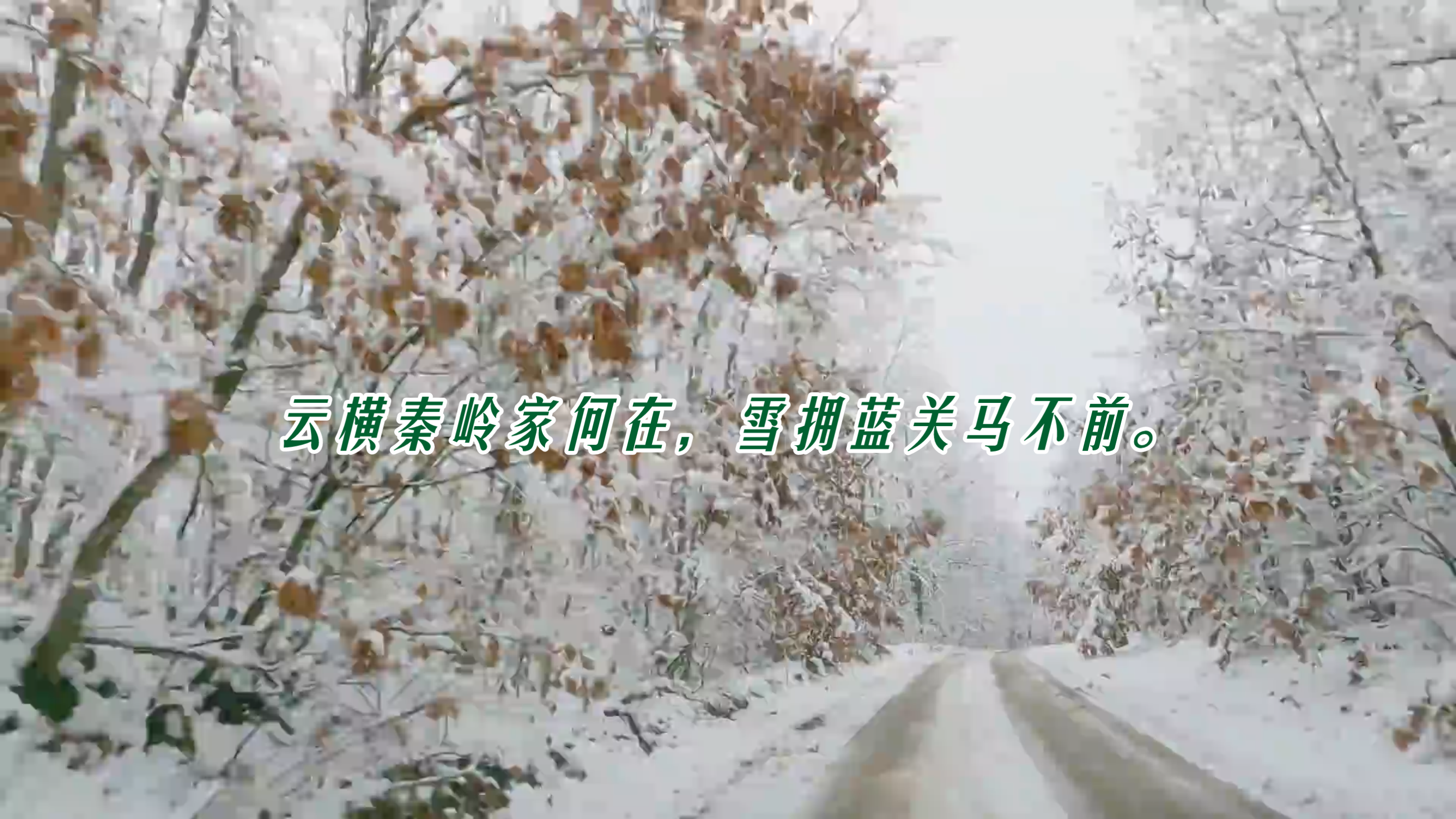 云横秦岭家何在雪拥蓝关马不前是什么意思