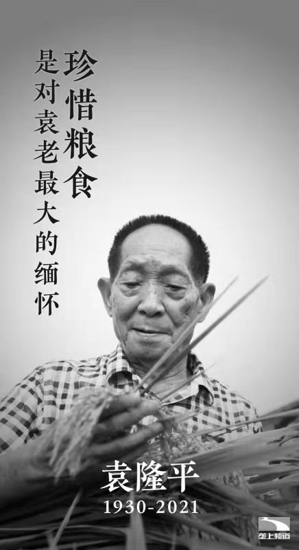 袁隆平的主要事迹内容简介