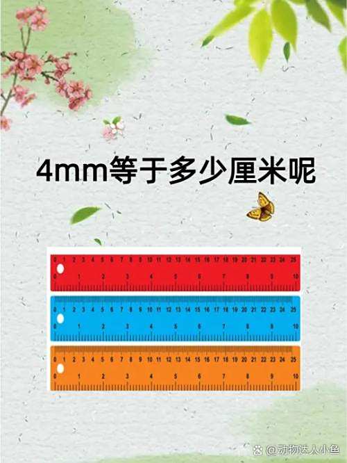 厘米可以用什么字母表示