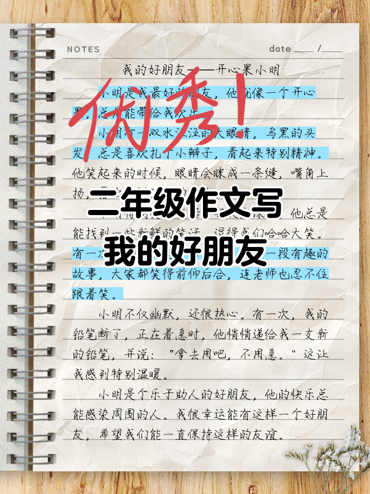 二年级作文我的好朋友100字