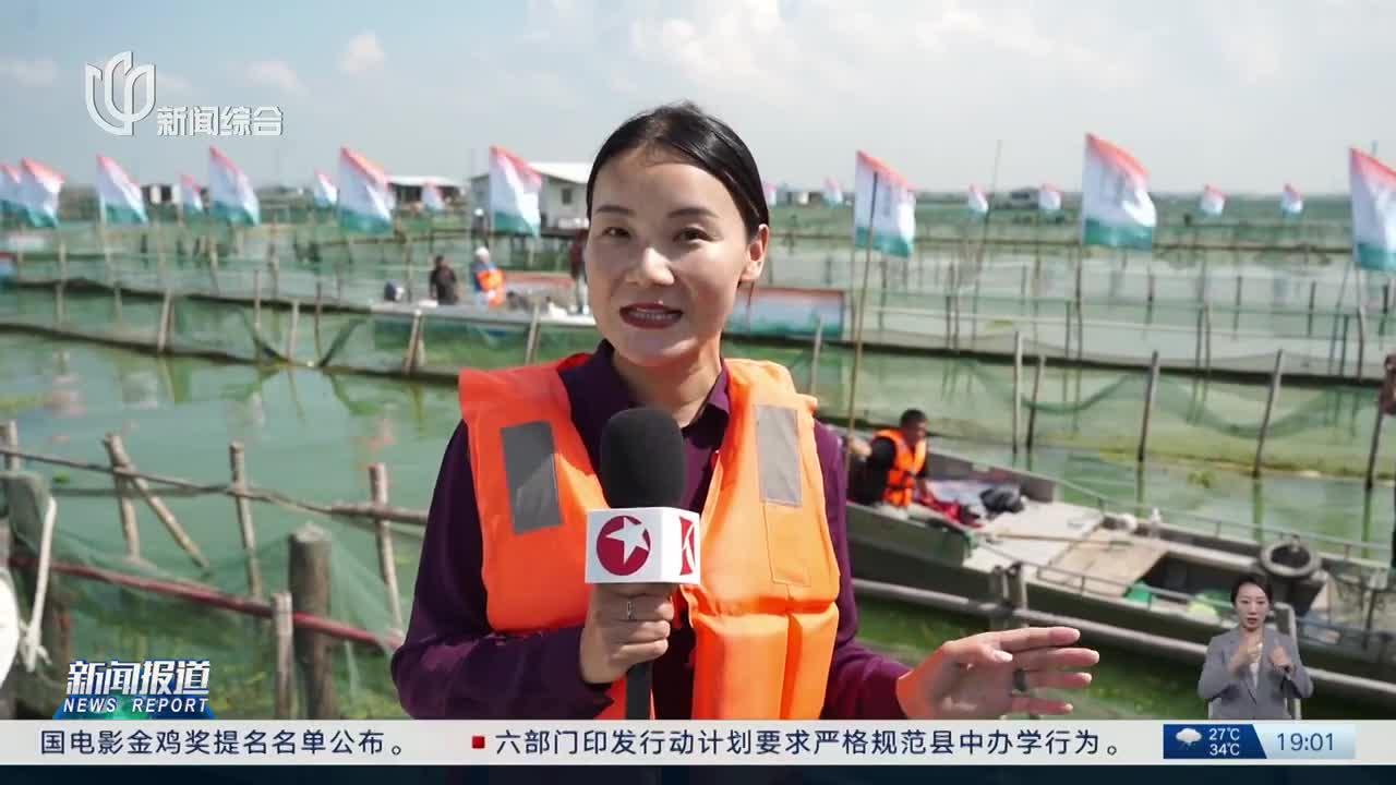 阳澄湖大闸蟹上市几月份