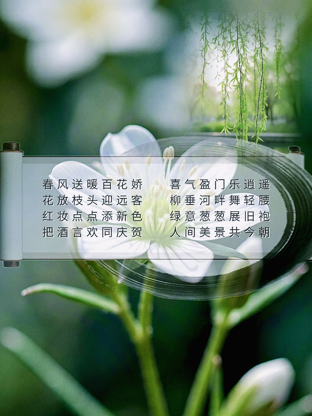 且听风吟静待花开寓意是什么