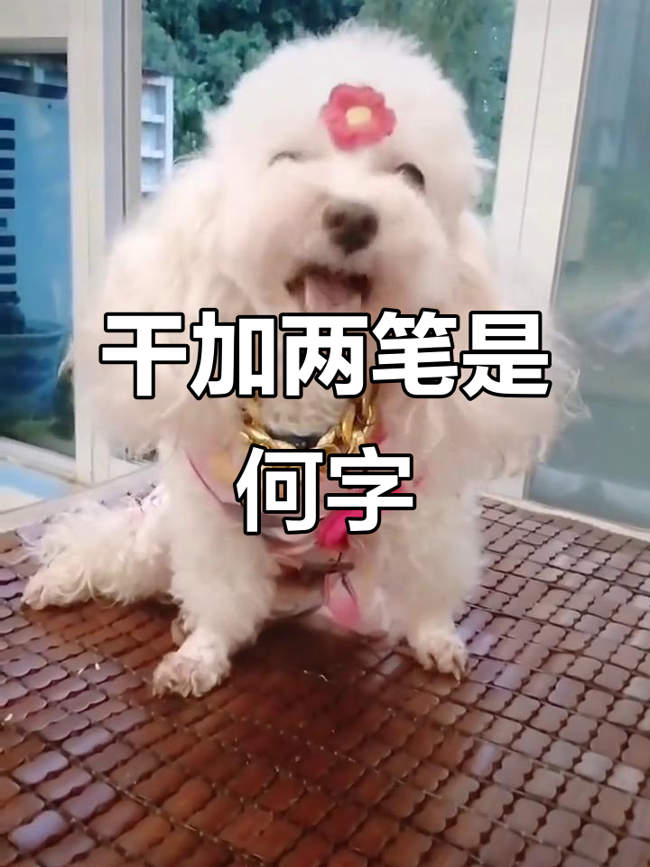 中加两笔变成的字是什么
