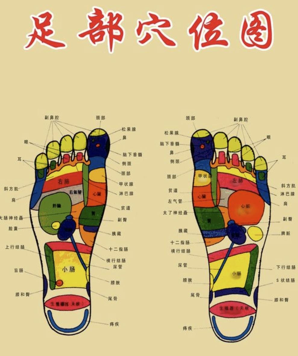 人的脚底有多少个穴位?