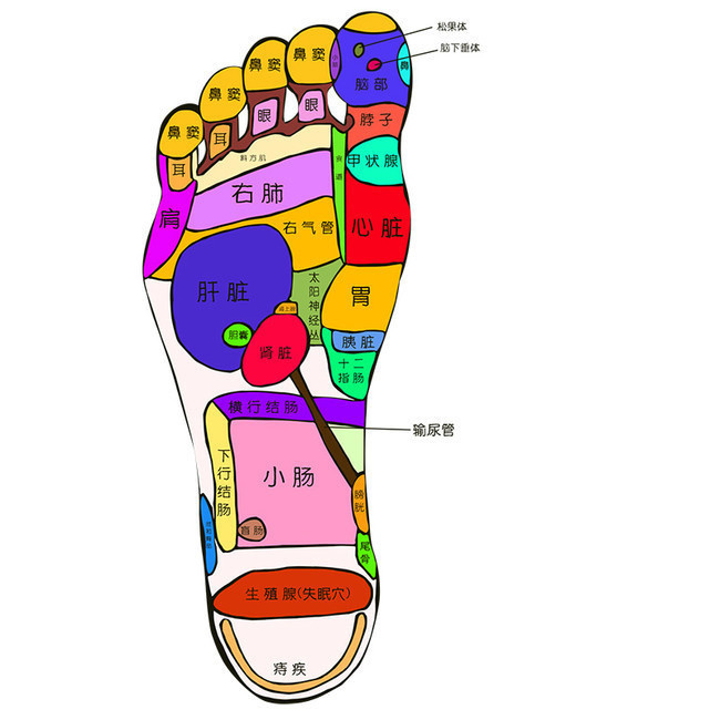 人的脚底有多少个穴位?