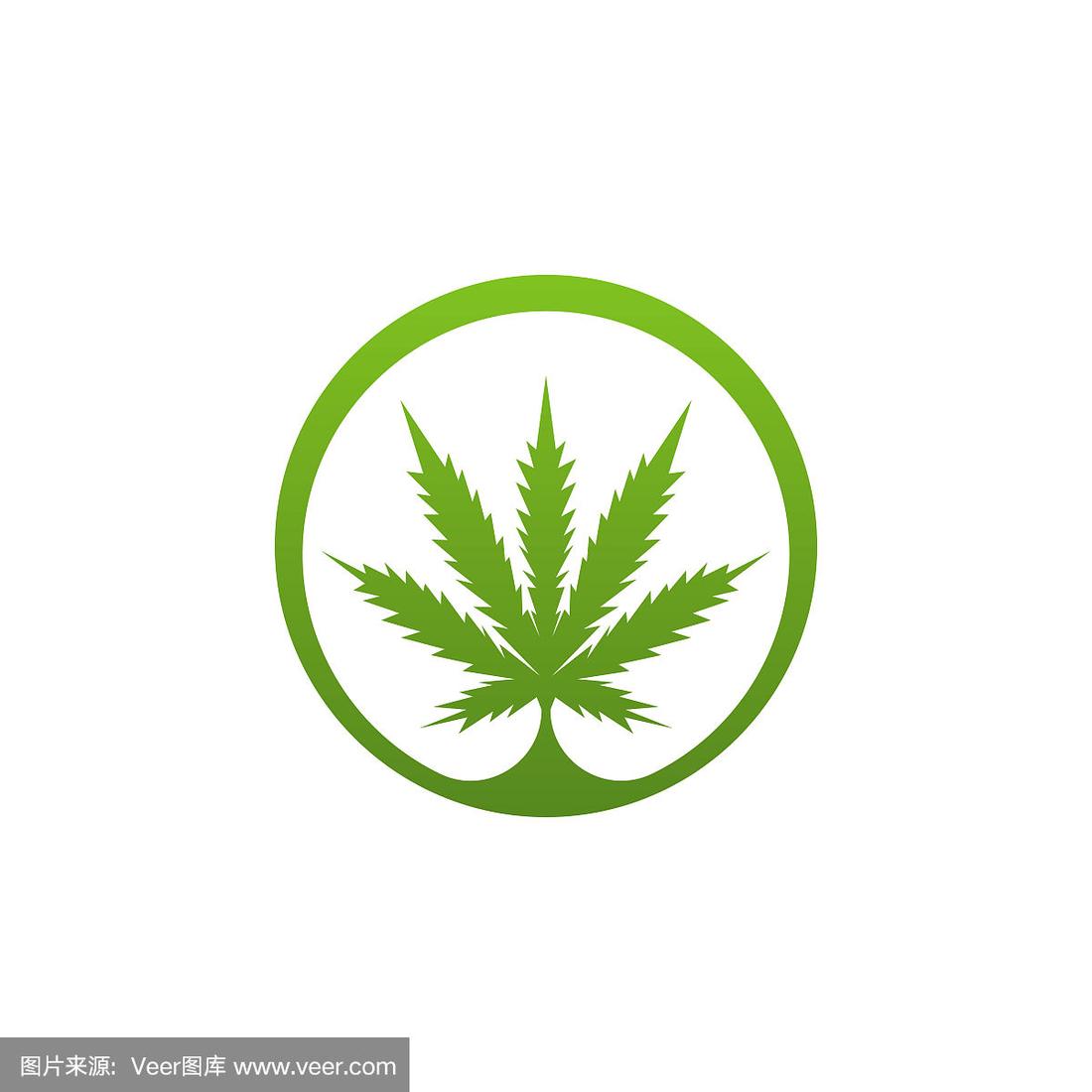 marijuana的意思