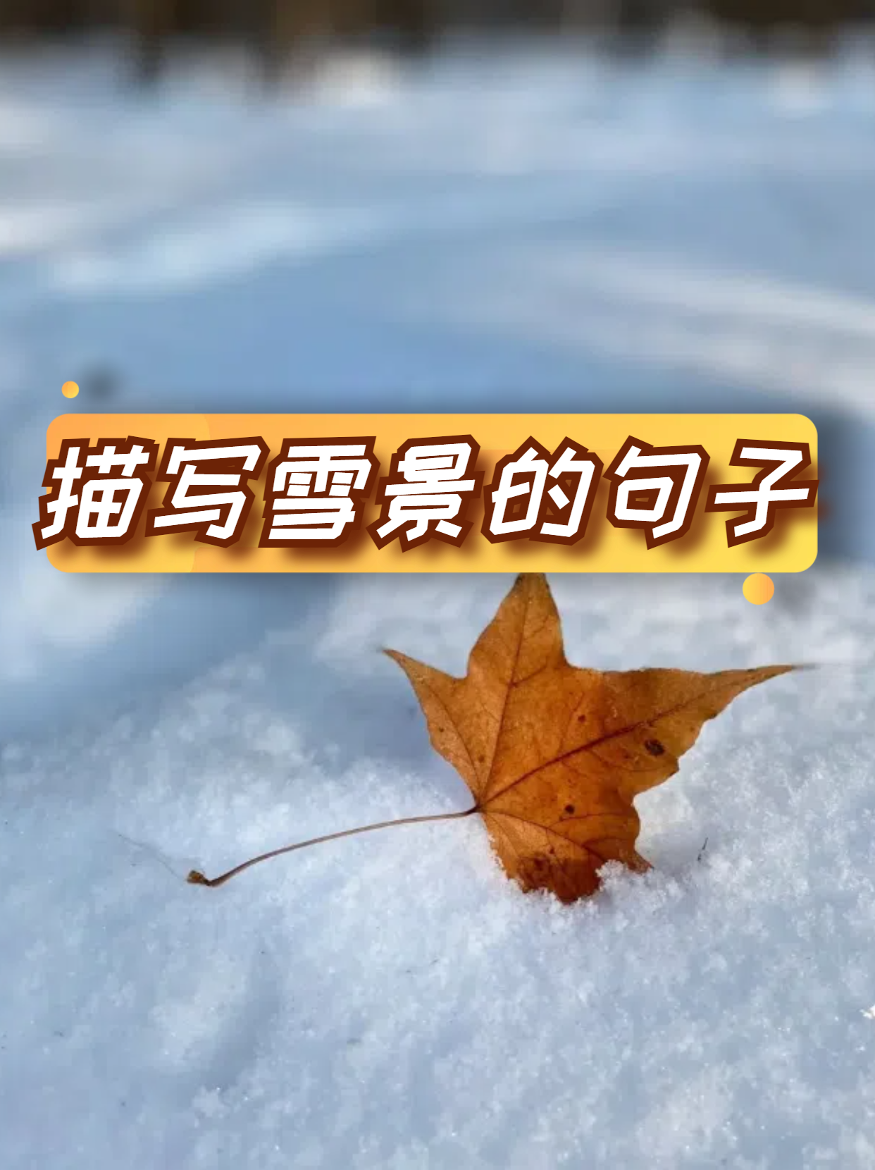 描写雪景情感的优美句子