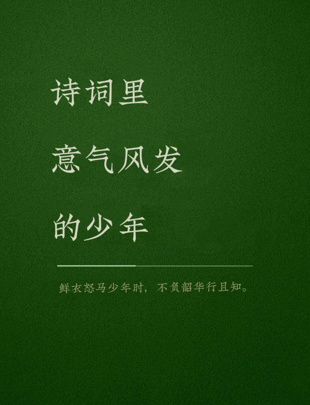 有哪些写少年意气风发的诗句