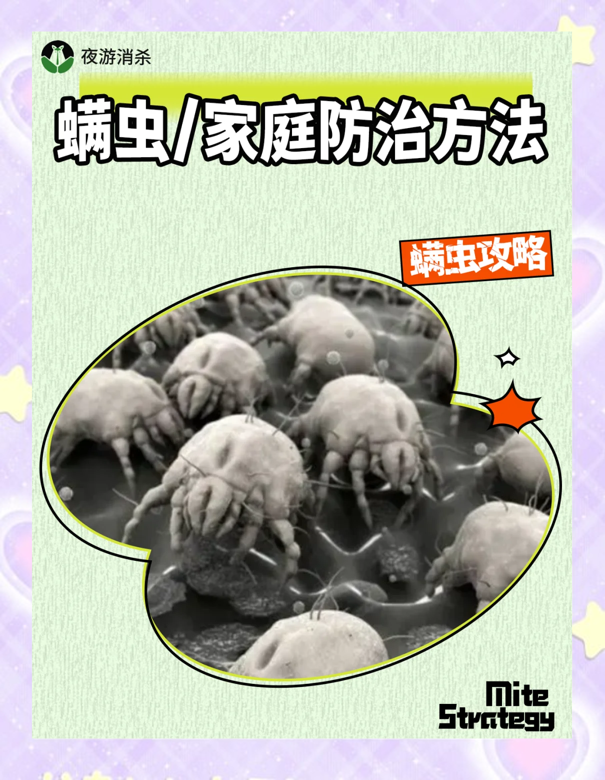 户尘螨和粉尘螨是什么东西