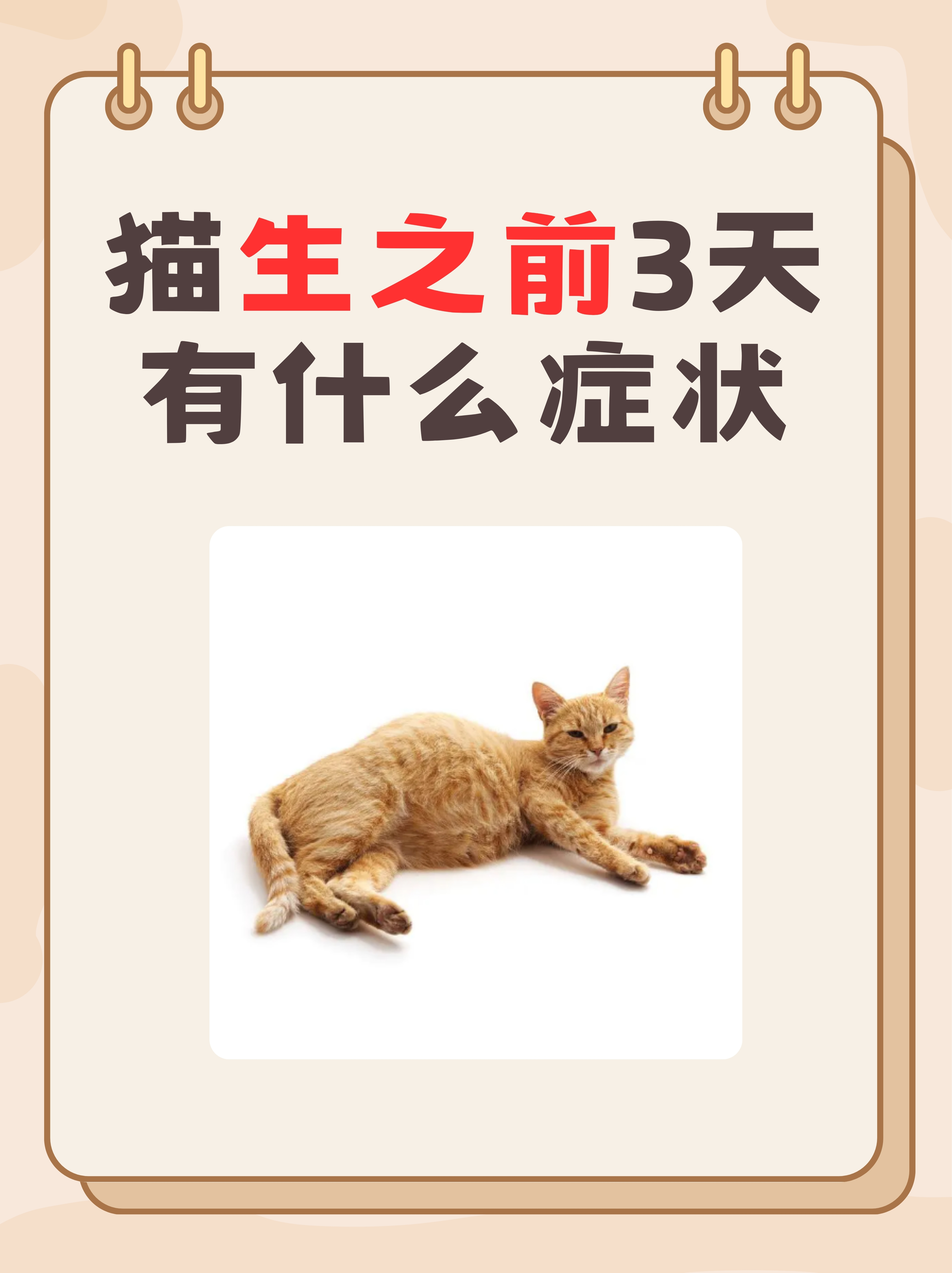 孕妇梦见猫是什么预兆