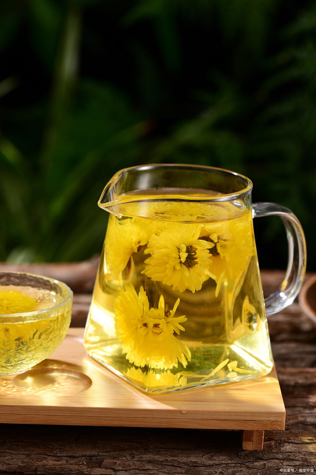 夏季养生喝胎菊加什么比较好